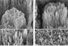 New Gel Regrows Dental Enamel–Which Humans Cannot Do–and Could Revolutionize Tooth Care