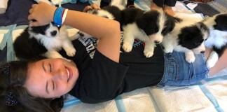 A Pile of Puppies Treatment Cheers Up Seriously Ill Kids with Bundles of Cozy Joy