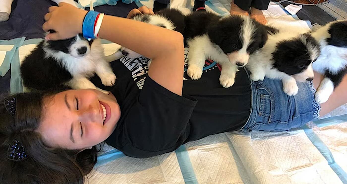 A Pile of Puppies Treatment Cheers Up Seriously Ill Kids with Bundles of Cozy Joy