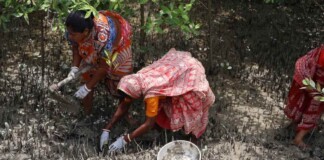 Their Husbands Were Killed by Tigers. Now These Women Are Restoring the Big Cat’s Threatened Habitat