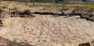Scientists Document Over 16,000 Footprints in the World’s Most Extensive Dinosaur Tracksite