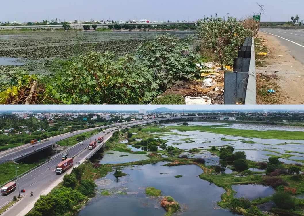 Over 600 Lakes, Ponds, Reservoirs Restored Across the Whole of India by Divinely-Inspired Nonprofit