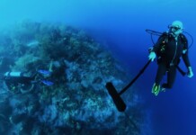 New Underwater Tool Lets Ecologists ID Fish From Their Sounds–46 Species So Far (LISTEN to 5 of Them)