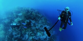 New Underwater Tool Lets Ecologists ID Fish From Their Sounds–46 Species So Far (LISTEN to 5 of Them)