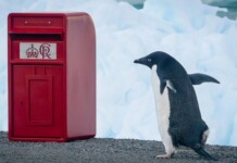 Antarctic Research Station Receives its Mail in a Shiny New Box–a Christmas Gift from King Charles