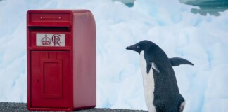 Antarctic Research Station Receives its Mail in a Shiny New Box–a Christmas Gift from King Charles