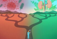 Simple Amino Acid Identified as Perhaps the Difference Between Life and Death from Illness