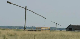 Hungary’s Famous Thermal Baths Are Saving the Country’s Famous Grasslands from Desertification