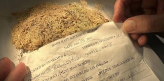 Moss is So Unique it’s Acted Like Fingerprints to Help Solve a Dozen Crimes