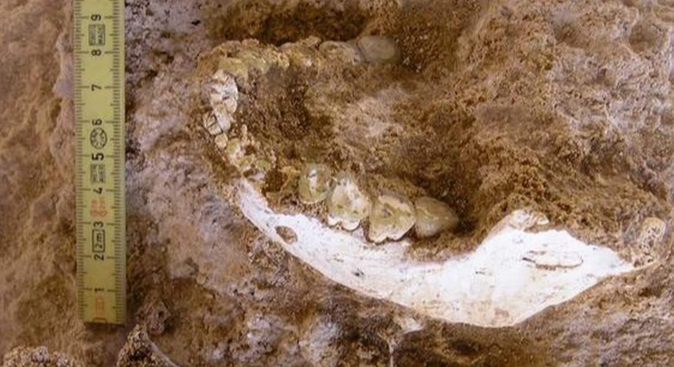 Early Human Ancestor Found in Morocco Dates Back 700,000 Years May Be Major Missing Link