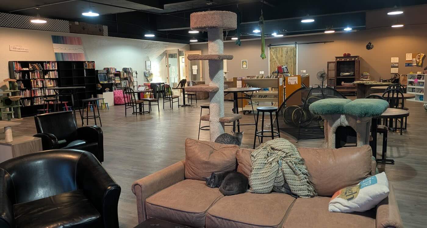 Pet Sanctuary Takes in Overflow from Homeless Shelter Amid Unprecedented Cold Snap