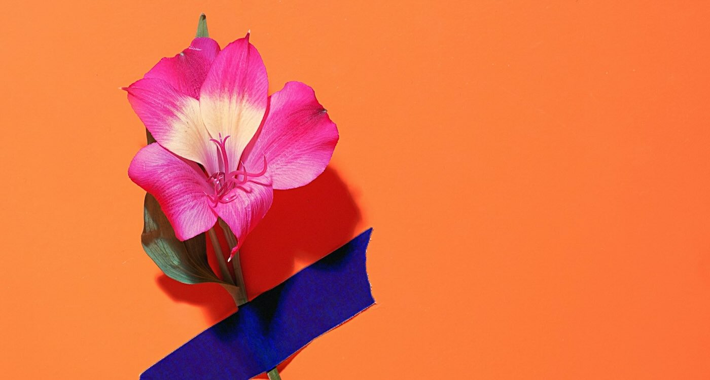 Unlock Daily Inspiration: Discover the Beauty of Words