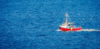 Over 90 California Fish Stocks Almost Totally Rebuilt Thanks to Trawling Ban, Other Measures