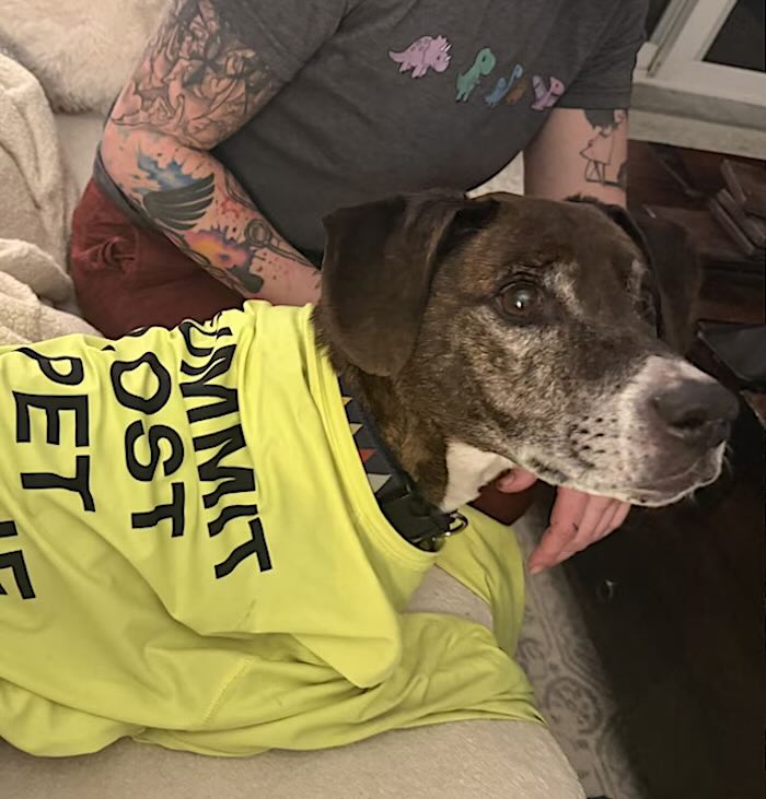 保護されたロッキー