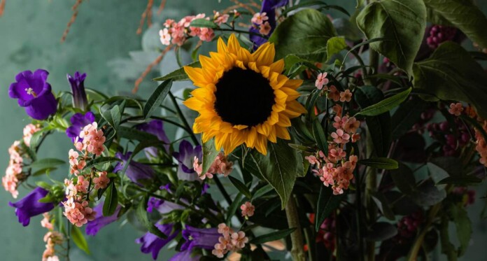 Sunflowers and purple bells still life in vase- Olivie Strauss For Unsplash+ IkqQhxnyktQ