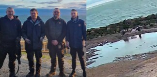 Dramatic Surveillance Footage Shows Mom and Daughter Rescued from Sinking in Sand by Heroes With Ropes