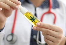 Cannabis Compounds Can Cut Cholesterol and Lower Risk of Fatty Liver Disease (Without Getting High)