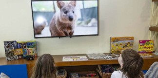 Animals are Streaming into 400 Children’s Hospitals From San Diego Zoo’s Dedicated 24-hour Channel