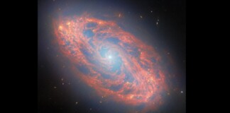 Jaw-Dropping Image of Spiral Galaxy Captured Light Traveling Since the T. Rex Era–Thanks to Webb Telescope