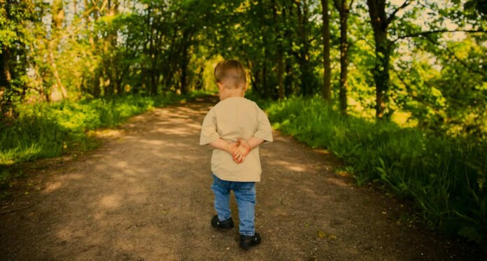 Summer forest path hike walk child boy adventure thinking-Joshua Earle For Unsplash+ NZeeWXBaovw