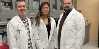 Researchers Train Bacteria to Consume Tumors from the Inside Out