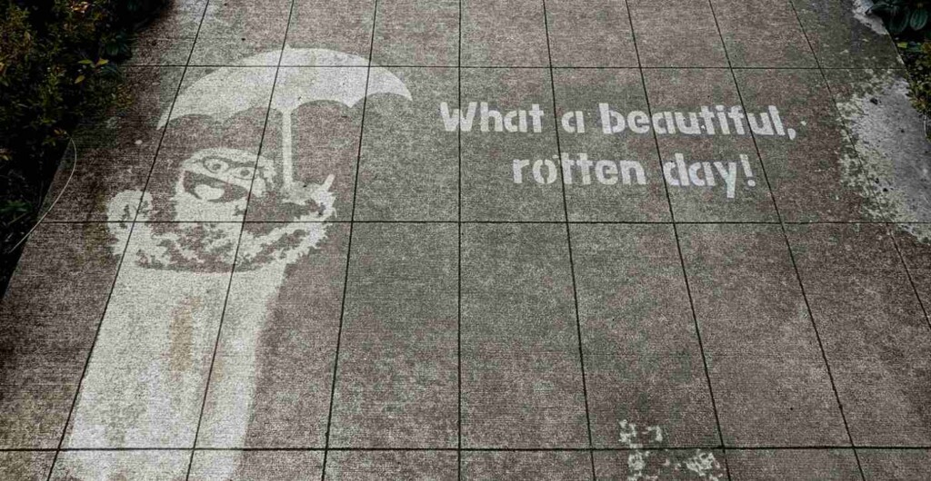 Artworks Are Hidden Until it Rains in Seattle–Now it’s Sold Around the World | Impact That Lasts