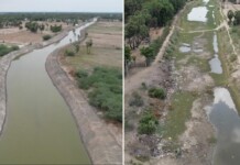 Once Dried up and Full of Plastic, Canal in India Is Now Clear and Lined with Mangrove Trees