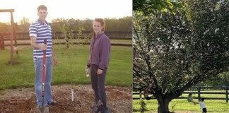 Tree They Planted as Teen Sweethearts Suddenly Had Baby Offshoot Growing After She Got Pregnant