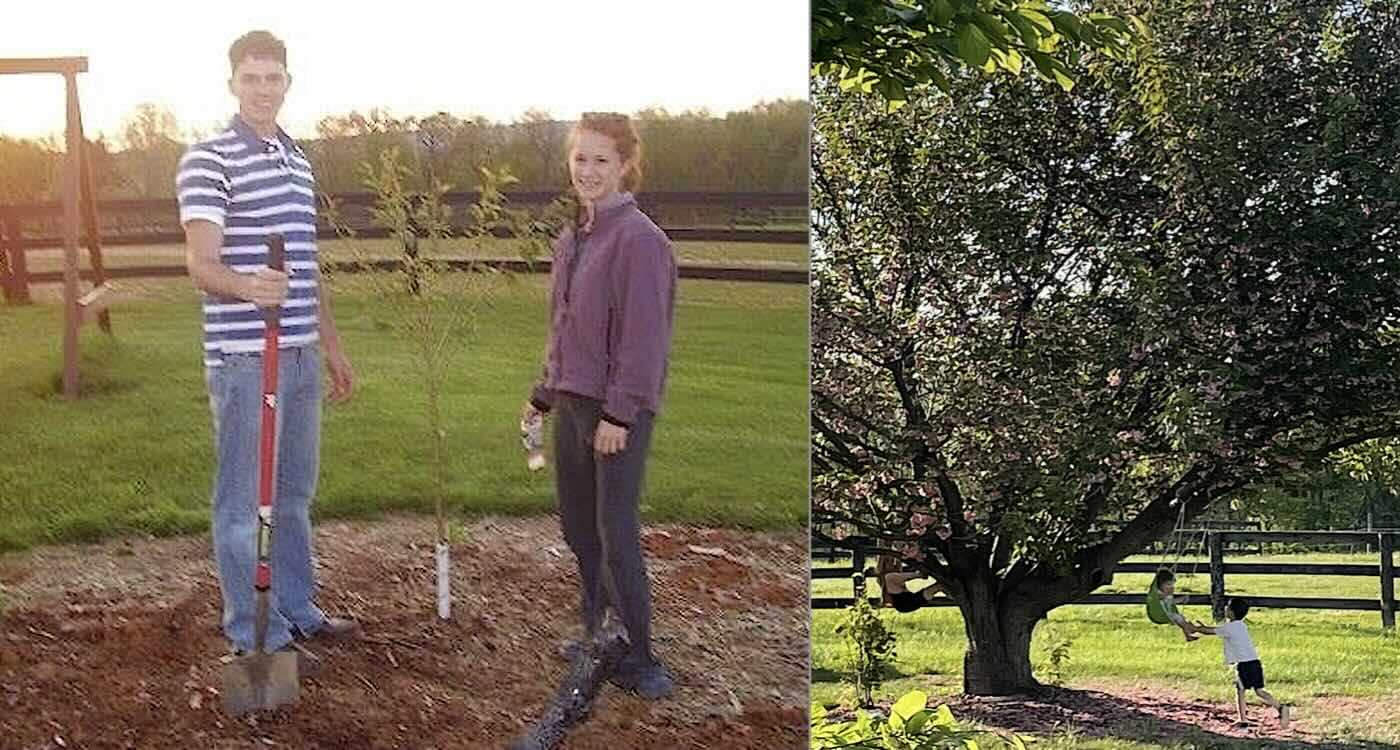 Tree They Planted as Teen Sweethearts Suddenly Had Baby Offshoot Growing After She Got Pregnant