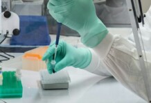 Scientists Discover Lab Gloves Are Skewing Microplastics Data – Perhaps By A Lot