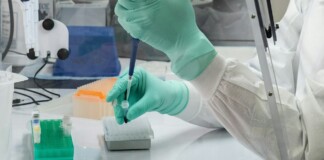 Scientists Discover Lab Gloves Are Skewing Microplastics Data – Perhaps By A Lot