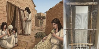 Wooden Loom Preserved By Fire 3,500 Years Ago Now Reveals Bronze Age Textile Revolution