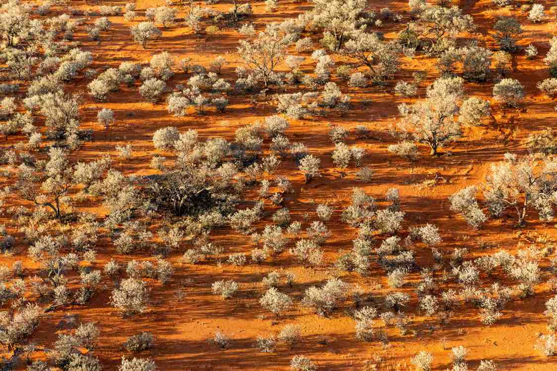 85 Million Acres of Private Land Are Being Protected for Conservation in the US and Australia
