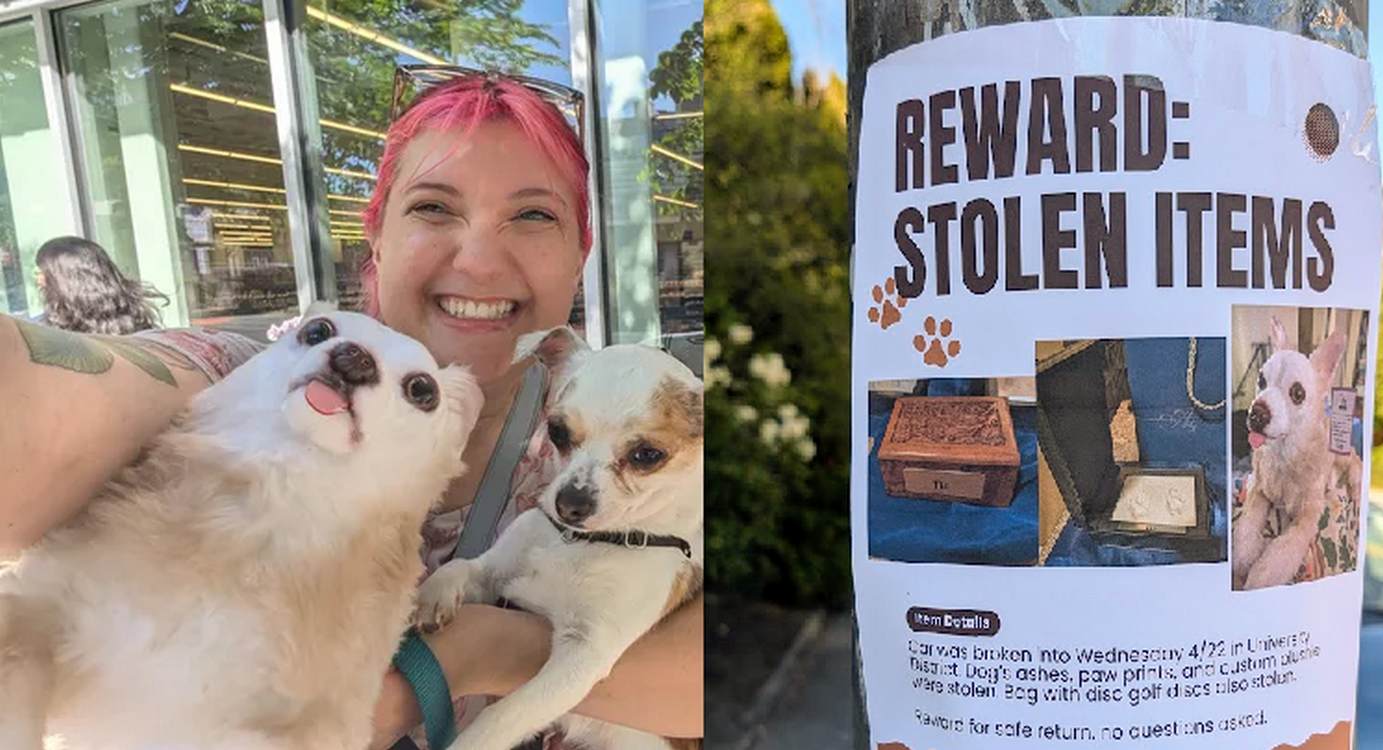 Homeless Man Helps Find and Return Stolen Dog’s Ashes, Receives Thousands to Get Back on His Feet