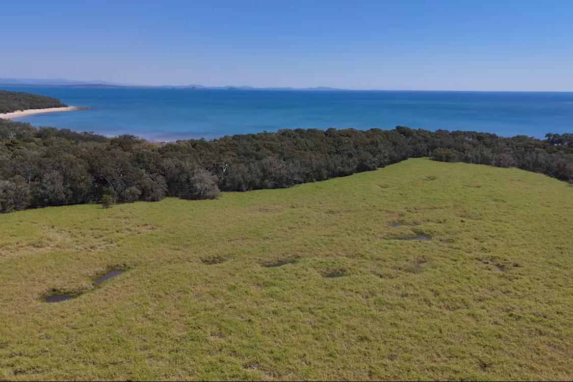The sea near Cape Palmerstone National Park, with the wooded embankment seen in the mid-ground – credit, supplied to ABC by Greening Australia