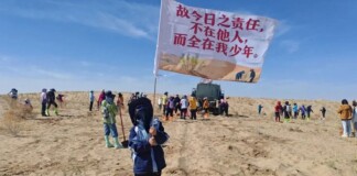 Facing Desertification, Man’s Campaign Draws 30,000 Volunteers to Plant 1 Million Trees in his County