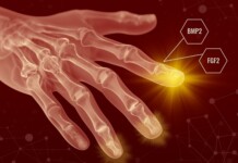 Humans May Have Always Been Able to Regenerate Body Parts–Scar Tissue Just Gets in the Way