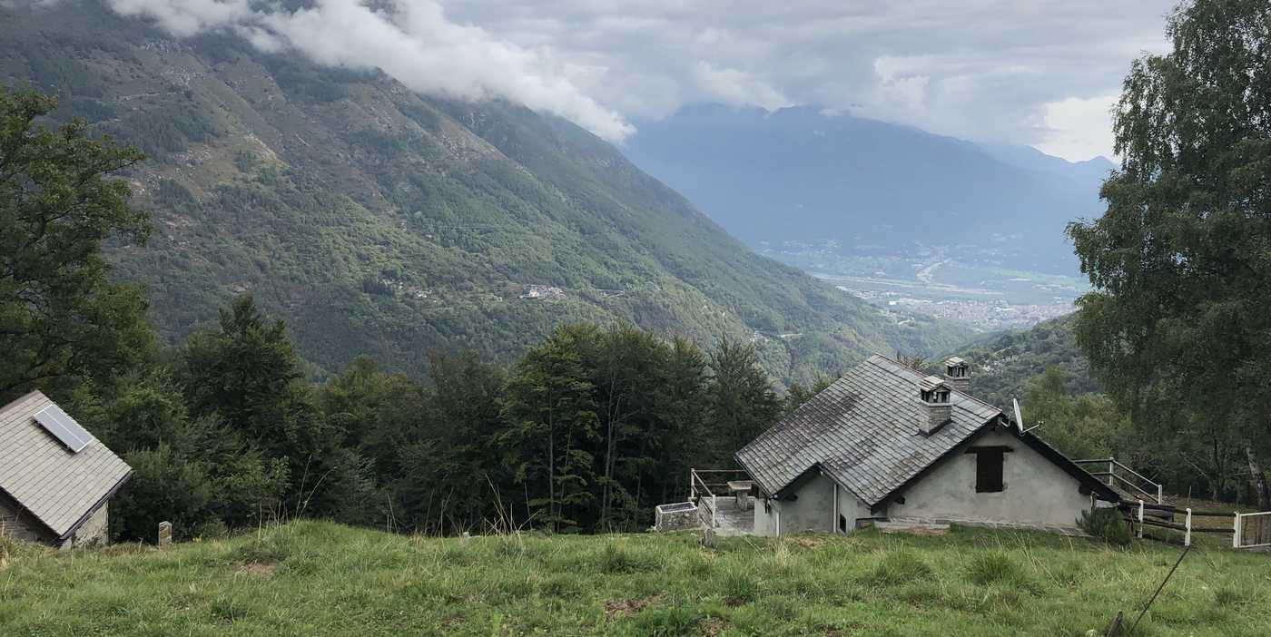 Italy’s Forests Larger Than Agriculture Land for the First Time Since the Middle Ages