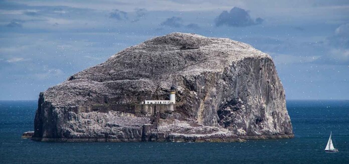 Bass Rock with its castle walls and lighthouse - credit CC Ben Clarke 4.0. BY-SA
