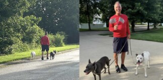 My Dad Just Walked the Equivalent of Earth’s Circumference – It Took Him 14 Years and 49 Pairs of New Balance