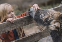 Therapy Donkeys Prove Such a Balm of Calm to Psychiatric Hospital That Organizers Look to Expand