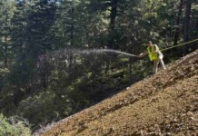 Scientists Develop Enzyme to Limit Environmental Impact of Mine Waste, Testing Underway