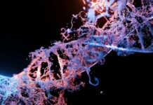 Drug May Repair DNA at Earliest Stages of Alzheimer’s – And it’s Already Passed Safety Trials