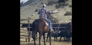 Montana Teen Uses Rodeo Lasso to Rescue Drowning Man on Yellowstone River