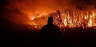 Africa’s Wildfire Season Is Actually Getting Shorter, Scientists Think They Know Why