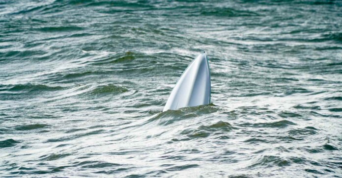 capsize drowning boat overboard - unsplash