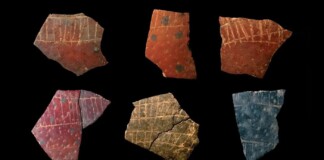 Intricate Carvings in Ostrich Eggshells are 60,000 Years Old – and Reveal ‘Remarkable’ Human Thinking