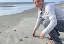 Loggerhead Sea Turtles Break Nest Record in Georgia – The Most in 37 Years