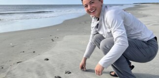 Loggerhead Sea Turtles Break Nest Record in Georgia – The Most in 37 Years