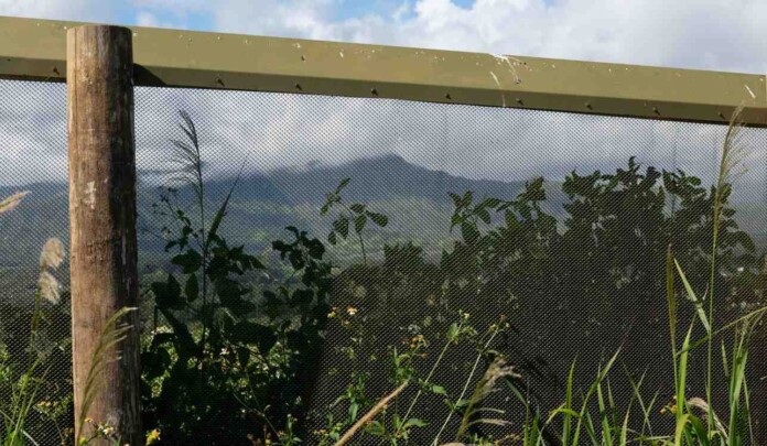 Predator Exclusion Fence - credit, Laurel Smith USFWS, Public Domain